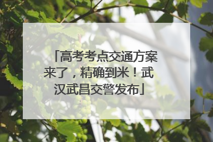 高考考点交通方案来了，精确到米！武汉武昌交警发布