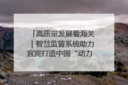 高质量发展看海关｜智慧监管系统助力宜宾打造中国“动力电池之都”