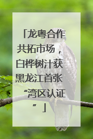 龙粤合作共拓市场，白桦树汁获黑龙江首张“湾区认证”