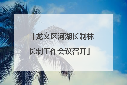 龙文区河湖长制林长制工作会议召开