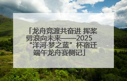 龙舟竞渡共奋进 挥桨劈浪向未来——2025“洋河·梦之蓝”杯宿迁端午龙舟赛侧记