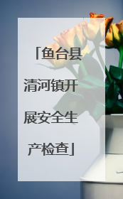 鱼台县清河镇开展安全生产检查