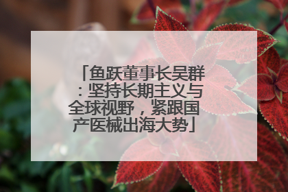 鱼跃董事长吴群：坚持长期主义与全球视野，紧跟国产医械出海大势