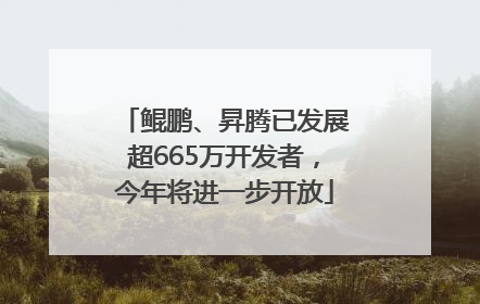 鲲鹏、昇腾已发展超665万开发者，今年将进一步开放