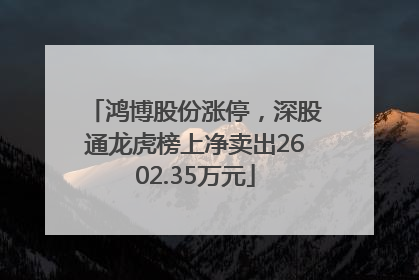 鸿博股份涨停，深股通龙虎榜上净卖出2602.35万元