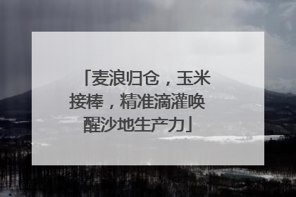 麦浪归仓，玉米接棒，精准滴灌唤醒沙地生产力