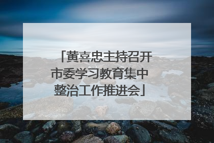 黄喜忠主持召开市委学习教育集中整治工作推进会