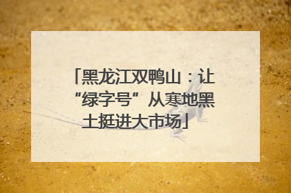 黑龙江双鸭山：让“绿字号”从寒地黑土挺进大市场