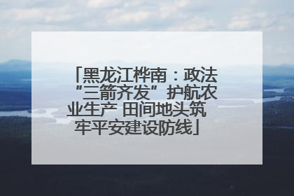 黑龙江桦南：政法“三箭齐发”护航农业生产 田间地头筑牢平安建设防线