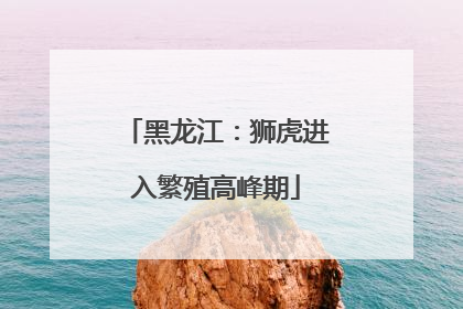 黑龙江：狮虎进入繁殖高峰期
