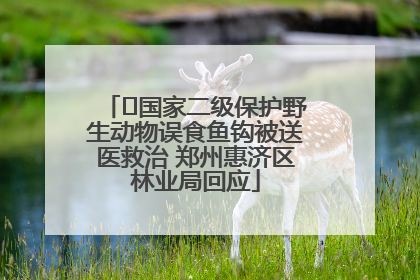 ﻿国家二级保护野生动物误食鱼钩被送医救治 郑州惠济区林业局回应