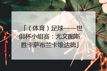 （体育）足球——世俱杯小组赛：尤文图斯胜卡萨布兰卡维达德