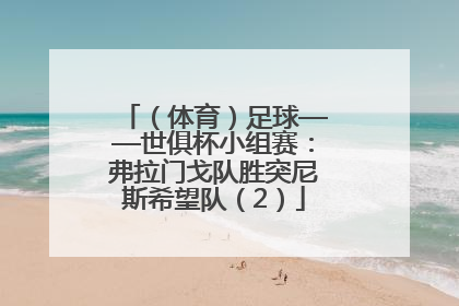 （体育）足球——世俱杯小组赛：弗拉门戈队胜突尼斯希望队（2）