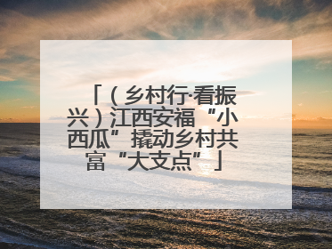 （乡村行·看振兴）江西安福“小西瓜”撬动乡村共富“大支点”