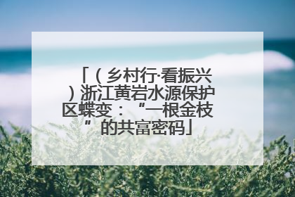 （乡村行·看振兴）浙江黄岩水源保护区蝶变：“一根金枝”的共富密码
