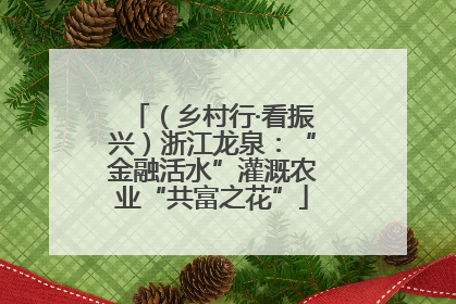 （乡村行·看振兴）浙江龙泉：“金融活水”灌溉农业“共富之花”