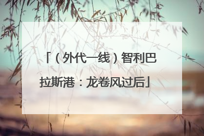 （外代一线）智利巴拉斯港：龙卷风过后