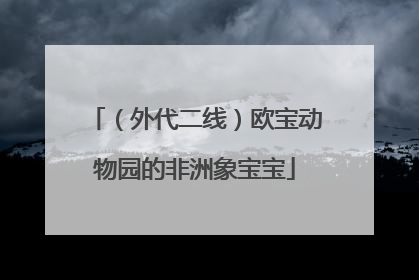（外代二线）欧宝动物园的非洲象宝宝