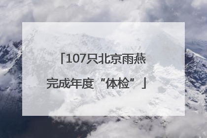107只北京雨燕完成年度“体检”