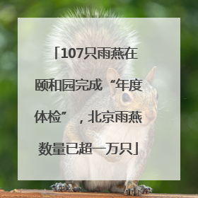 107只雨燕在颐和园完成“年度体检”，北京雨燕数量已超一万只