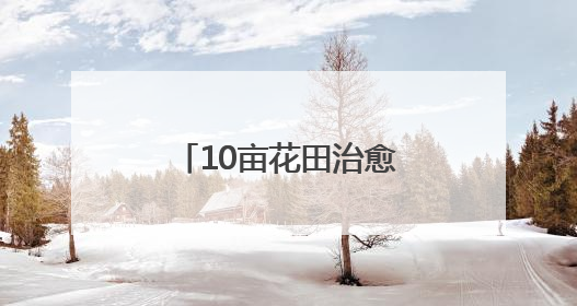 10亩花田治愈3000公里孤独，广水独眼小伙与他的“无尽夏”