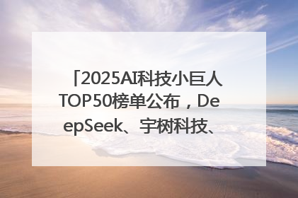 2025AI科技小巨人TOP50榜单公布，DeepSeek、宇树科技、蘑菇车联等企业荣誉上榜