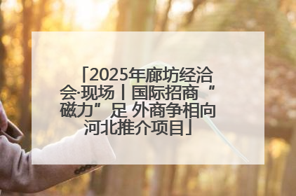 2025年廊坊经洽会·现场丨国际招商“磁力”足 外商争相向河北推介项目