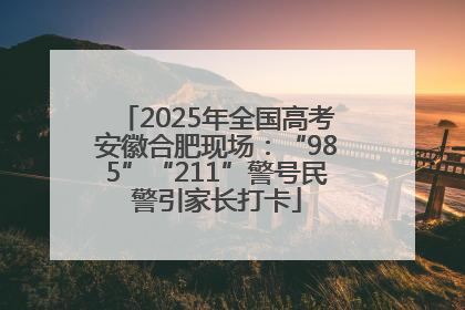 2025年全国高考安徽合肥现场：“985”“211”警号民警引家长打卡