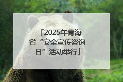 2025年青海省“安全宣传咨询日”活动举行