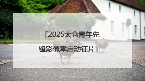 2025太仓青年先锋影像季启动征片