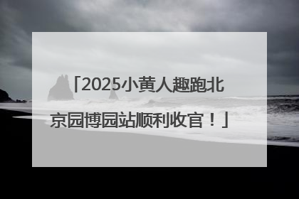 2025小黄人趣跑北京园博园站顺利收官！