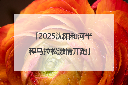 2025沈阳和河半程马拉松激情开跑