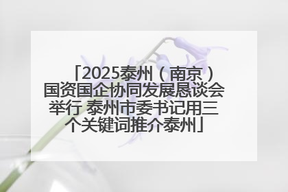 2025泰州（南京）国资国企协同发展恳谈会举行 泰州市委书记用三个关键词推介泰州