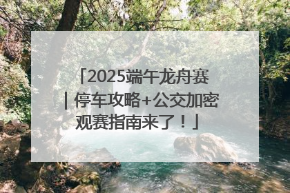 2025端午龙舟赛｜停车攻略+公交加密 观赛指南来了！