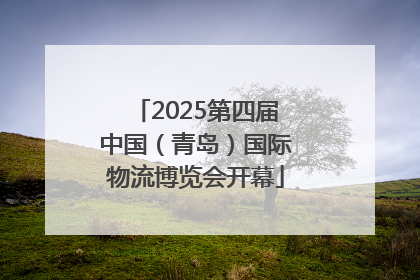 2025第四届中国（青岛）国际物流博览会开幕