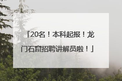 20名！本科起报！龙门石窟招聘讲解员啦！