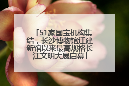 51家国宝机构集结，长沙博物馆迁建新馆以来最高规格长江文明大展启幕