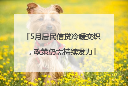 5月居民信贷冷暖交织，政策仍需持续发力