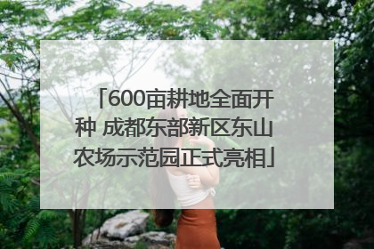 600亩耕地全面开种 成都东部新区东山农场示范园正式亮相