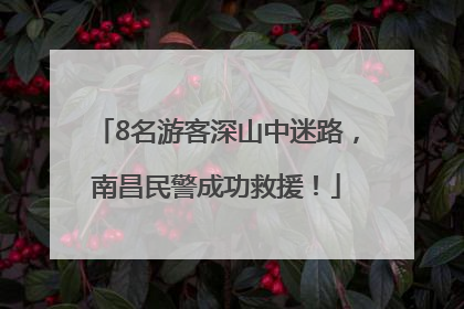 8名游客深山中迷路，南昌民警成功救援！