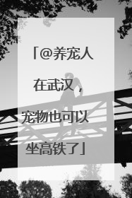 @养宠人 在武汉，宠物也可以坐高铁了