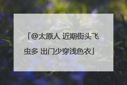 @太原人 近期街头飞虫多 出门少穿浅色衣