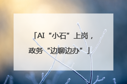 AI“小石”上岗，政务“边聊边办”