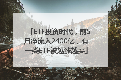 ETF投资时代，前5月净流入2400亿，有一类ETF被越涨越买