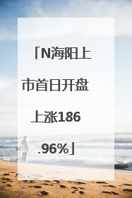 N海阳上市首日开盘上涨186.96%